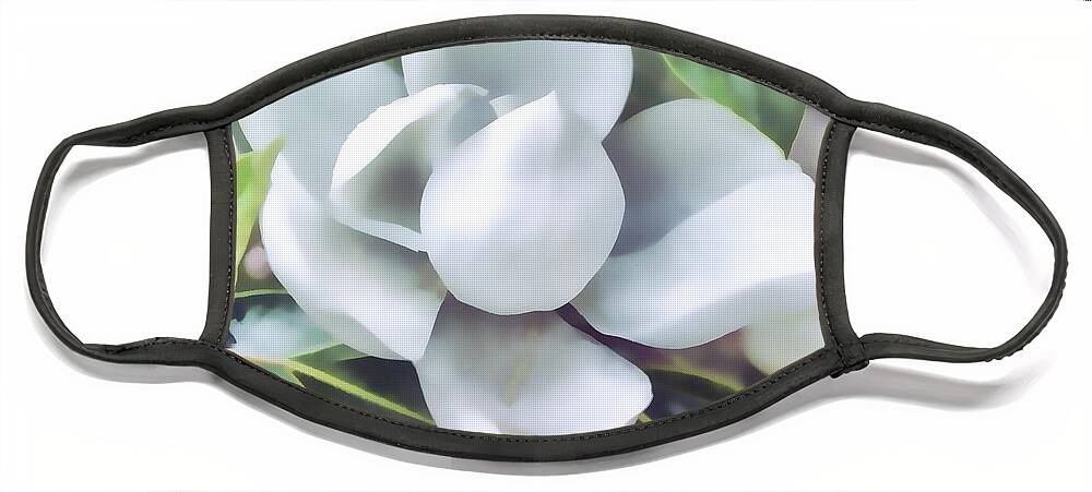 Magnolia Face Mask featuring the photograph Magnolia Opening 2 by Roberta Byram