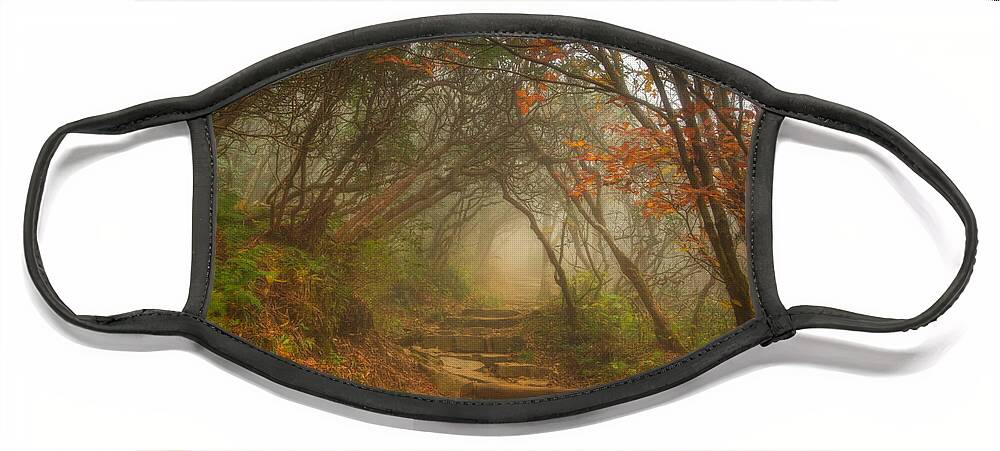 Asheville Face Mask featuring the photograph Magic Forest by Joye Ardyn Durham