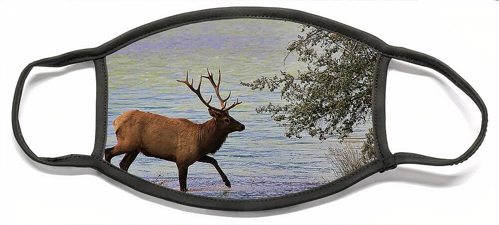 Elk Face Mask featuring the photograph Magnificent Stag in Jasper National Park by Teresa Zieba