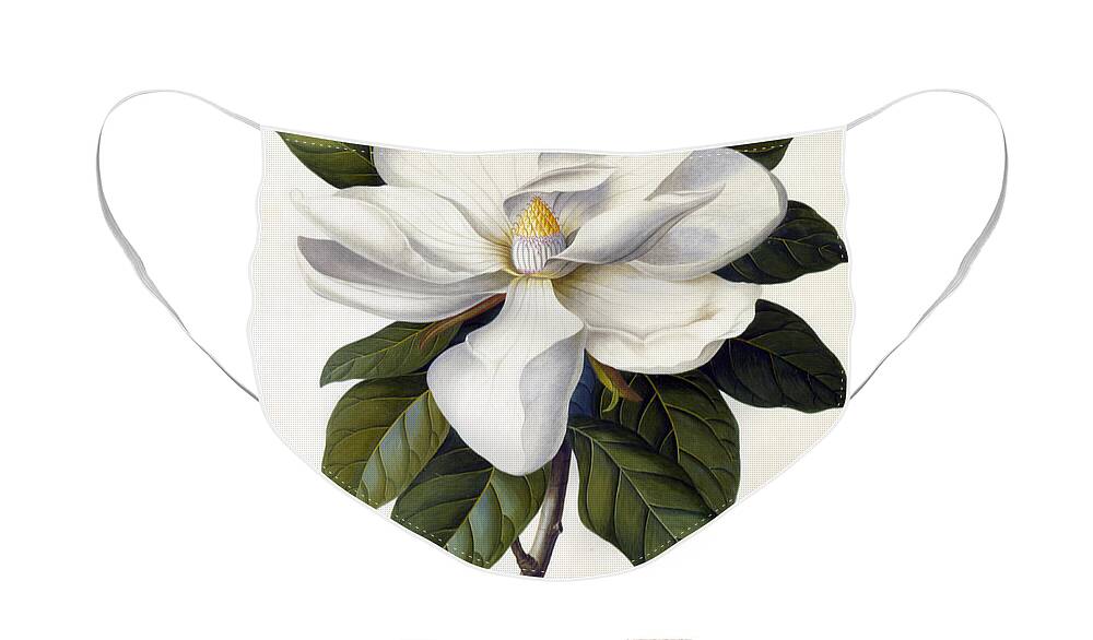 #faatoppicks Face Mask featuring the painting Magnolia grandiflora by Georg Dionysius Ehret