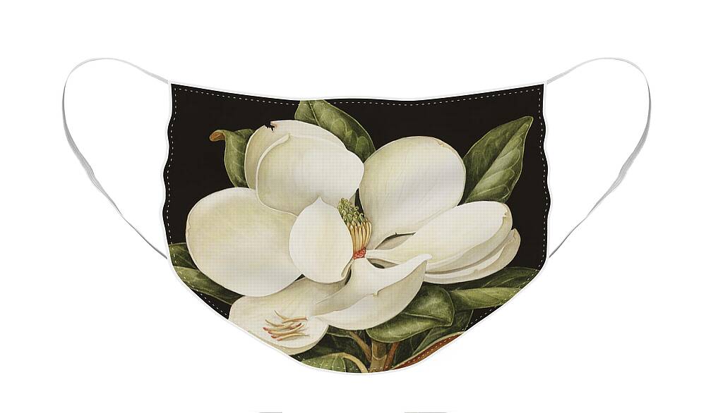 Still-life Face Mask featuring the painting Magnolia Grandiflora by Jenny Barron