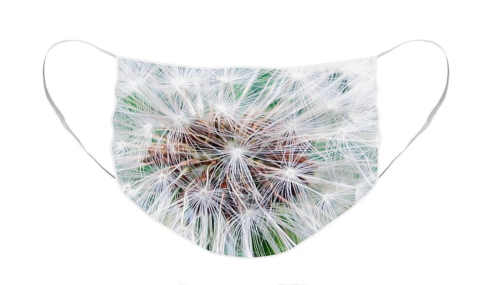 Dandilion Face Mask featuring the photograph Make A Wish by Kelly Holm
