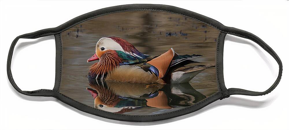 Nature Face Mask featuring the photograph Mandarin by Wendy Cooper