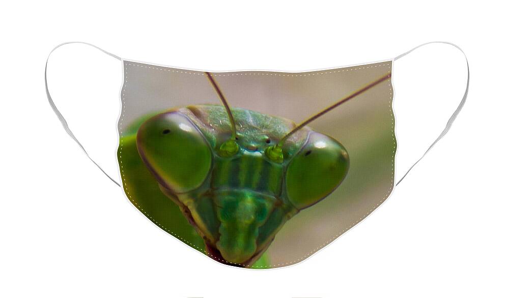 Praying Face Mask featuring the photograph Mantis Face by Jonny D