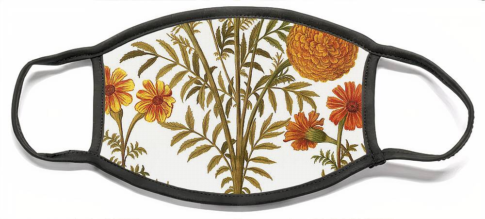 1613 Face Mask featuring the photograph Marigolds, 1613 by Granger