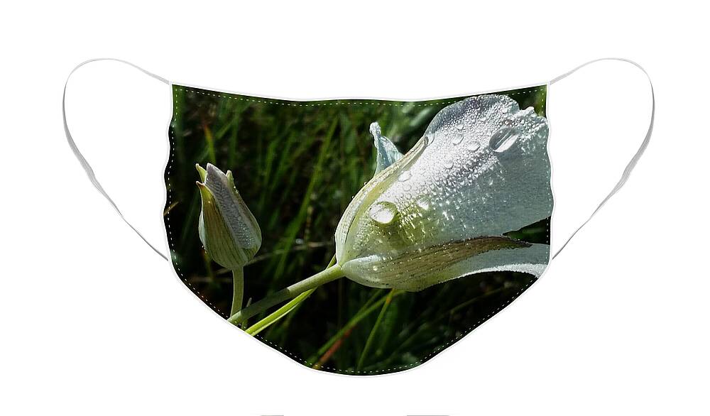 Dew;drops Face Mask featuring the photograph Mariposa Dew Rocky Mountain Meadow by Laura Davis