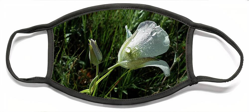 Dewdrops Face Mask featuring the photograph Mariposa Rocky Mountain Meadow #1 by Laura Davis