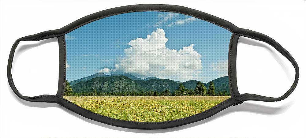 Arizona Face Mask featuring the photograph Meadow of Sunflowers and the San Francisco Peaks by Jeff Goulden