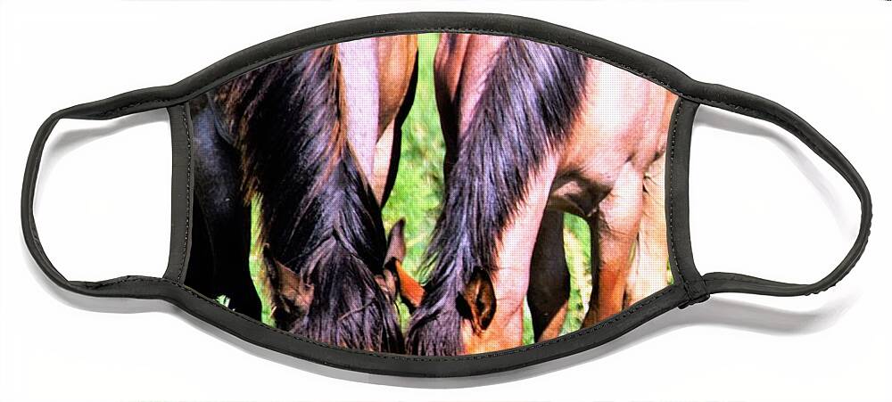 Horses Face Mask featuring the photograph Meal Sharing by Merle Grenz