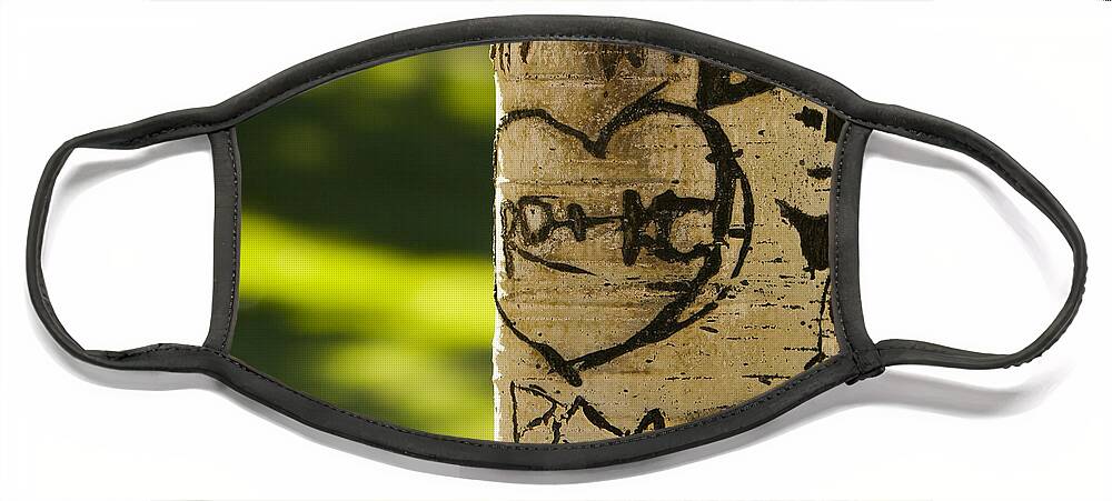 Carvings Face Mask featuring the photograph Memories in the Aspen Tree by James BO Insogna