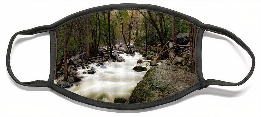 Merced River Face Mask featuring the photograph Merced River by C Renee Martin