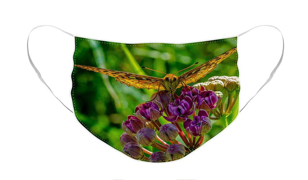 Insect Face Mask featuring the photograph Milkweed Buffet by Jeff Phillippi