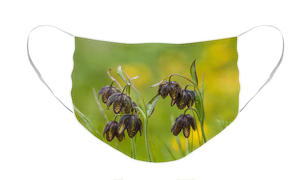 Meadow Face Mask featuring the photograph Mission Bells by Robert Potts