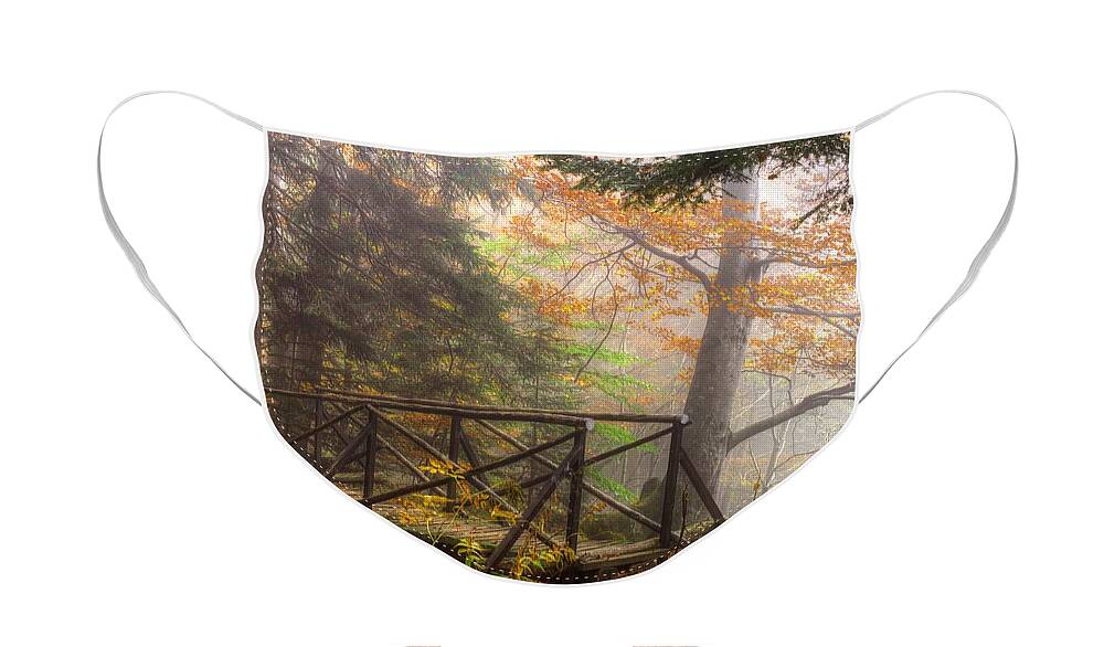 Autumn Face Mask featuring the photograph Misty forest by Ivan Slosar