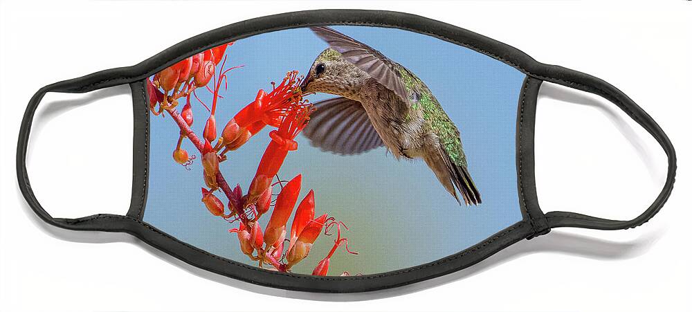 Hummingbird Face Mask featuring the photograph Mojave Pollinator by Lisa Manifold
