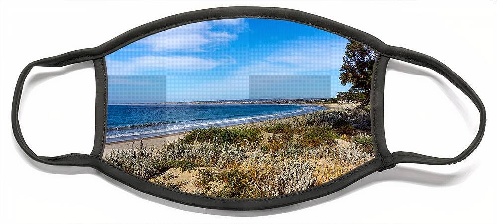 California Face Mask featuring the photograph Monterey Beach and Flora by Derek Dean