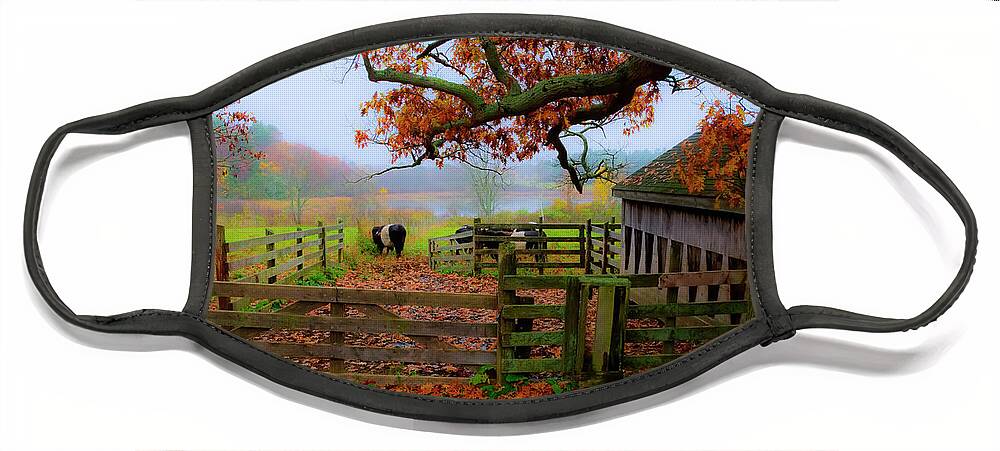 Fall Face Mask featuring the photograph Mooville by Jeff Cooper