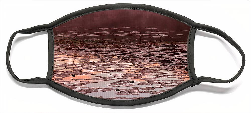 Bonnie Follett Face Mask featuring the photograph Morning Fog in the Lily Patch in Mauve by Bonnie Follett