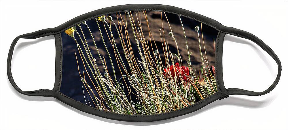 Wildflowers Face Mask featuring the photograph Morning Praise by Jim Garrison