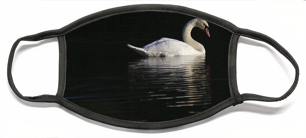 St James Lake Face Mask featuring the photograph Morning Swan by Jeremy Hayden