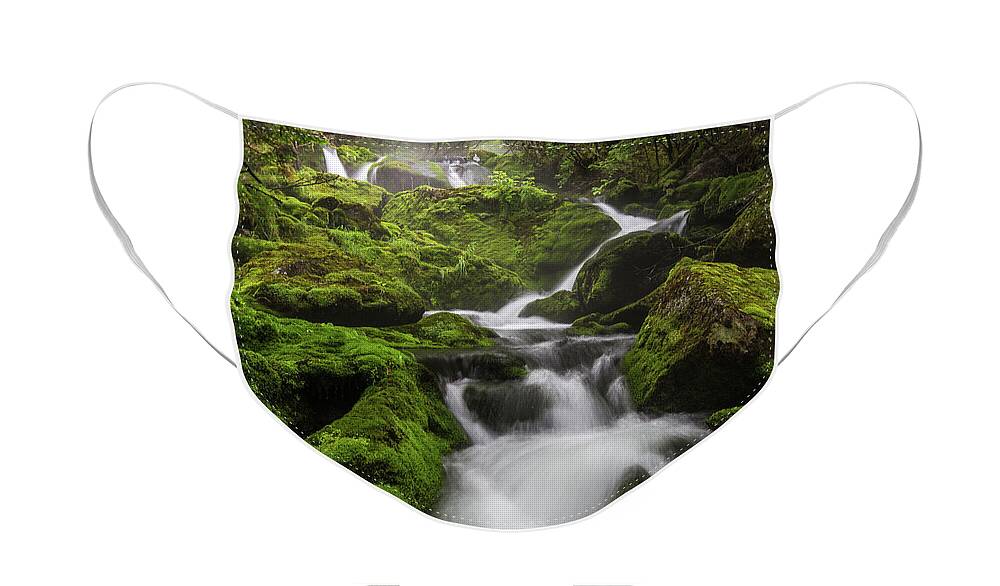 Mossy Face Mask featuring the photograph Mossy Fall #3 by White Mountain Images