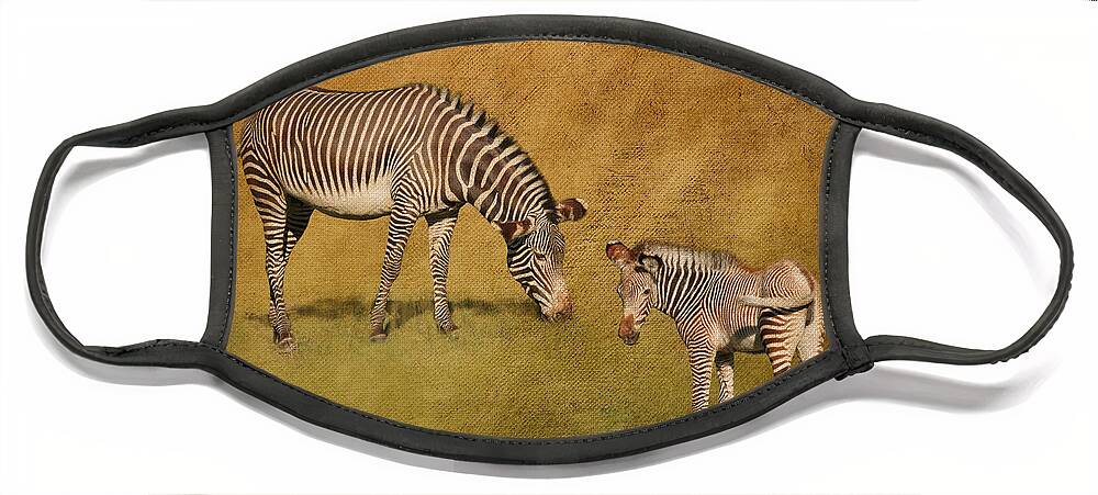 Zebras Face Mask featuring the digital art Mother and Child by Jayne Carney