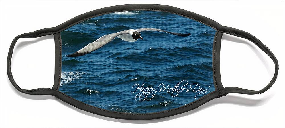 Mother's Day Flight Of The Seagull Face Mask featuring the photograph Mother's Day Flight of the Seagull by Dark Whimsy
