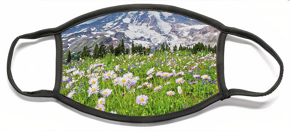 Alpine Face Mask featuring the photograph Mount Rainier and a Meadow of Aster by Jeff Goulden