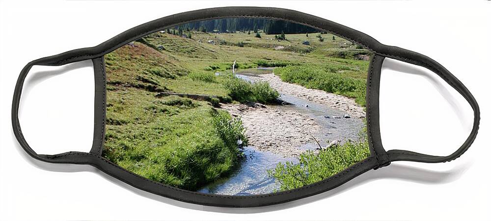 Wilderness Face Mask featuring the photograph Mountain Meadow and Stream by Quin Sweetman