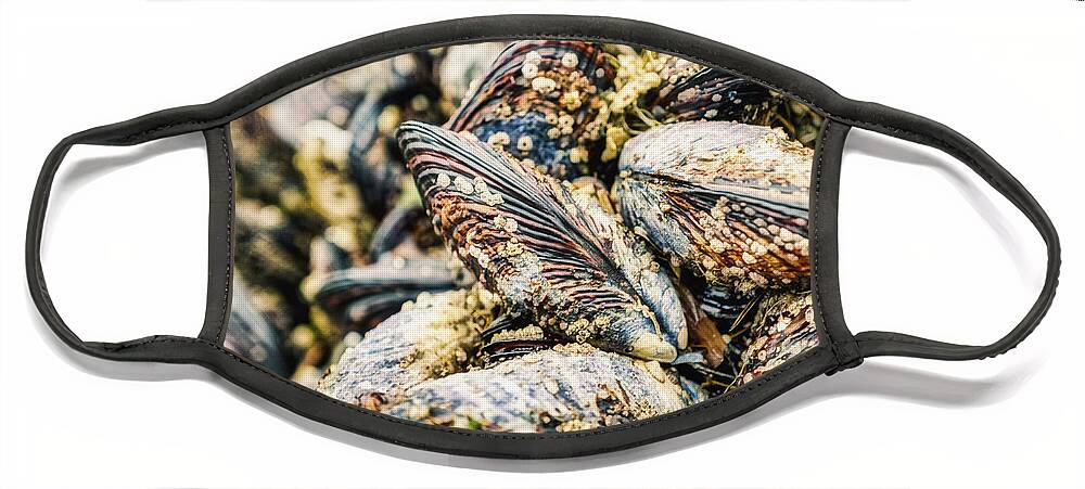 Oregon Face Mask featuring the photograph Mussels by Stuart Litoff