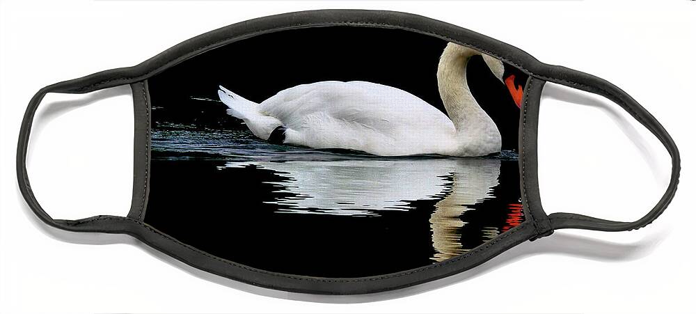 Swan Face Mask featuring the photograph Mute Swan by Baggieoldboy