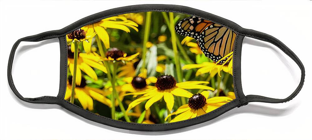 Wildlife Face Mask featuring the photograph Monarch Butterfly on Yellow Flowers by Jason Fink