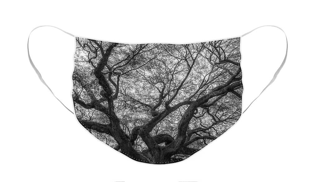 Angel Oak Tree Face Mask featuring the photograph Natures Canopy Pano BW by Michael Ver Sprill