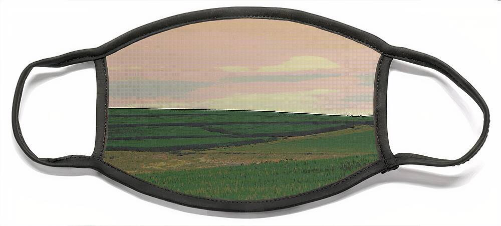 Old Fashioned Family Farm Face Mask featuring the photograph Nebraska Farm Life - The Field by Colleen Cornelius