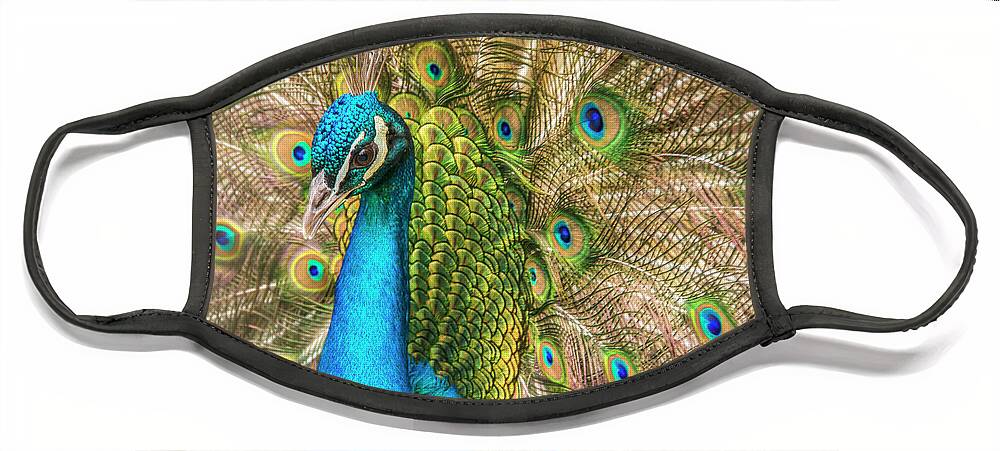 Peacocks Face Mask featuring the photograph Not Just A Pretty Face by Kristina Rinell