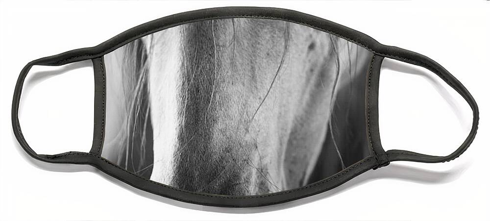 Andalusian Mare Face Mask featuring the photograph Novelera by Carien Schippers
