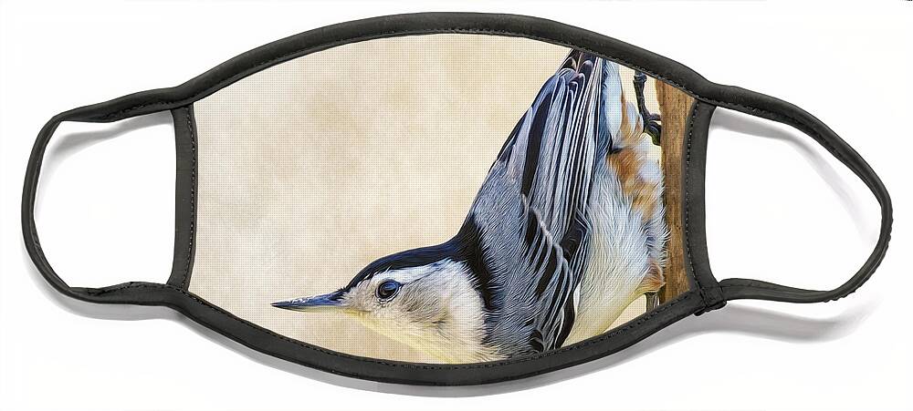 Sitta Carolinensis Face Mask featuring the photograph Nuthatch Up Close and Personal by Bill and Linda Tiepelman
