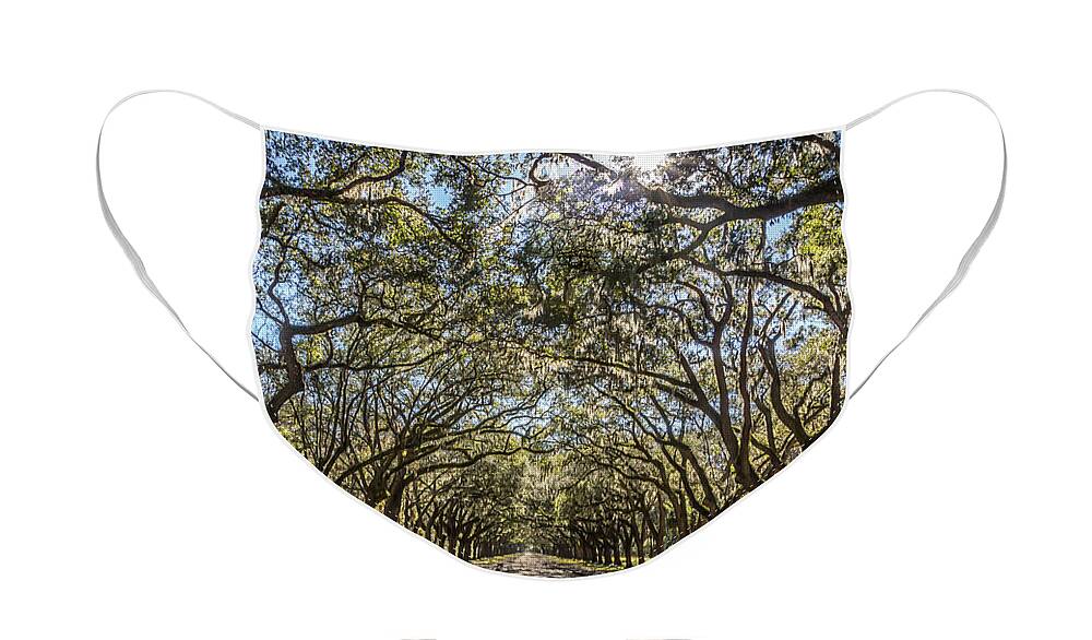 Georgia Face Mask featuring the photograph Oak Tree Tunnel #3 by Framing Places