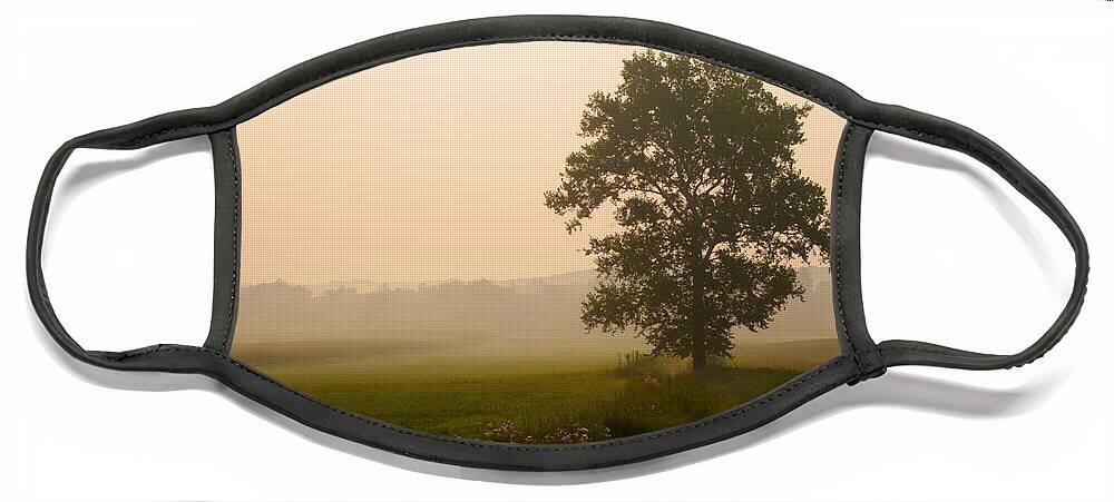 Trees Face Mask featuring the photograph Ohio Tree at Dawn by Polly Castor