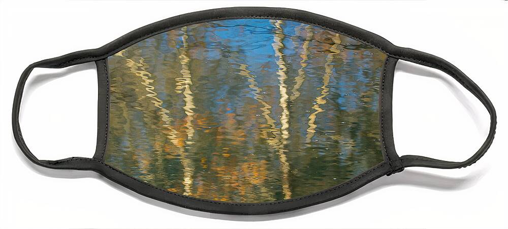 Art Face Mask featuring the photograph Oil Painting Trees by Phil Spitze
