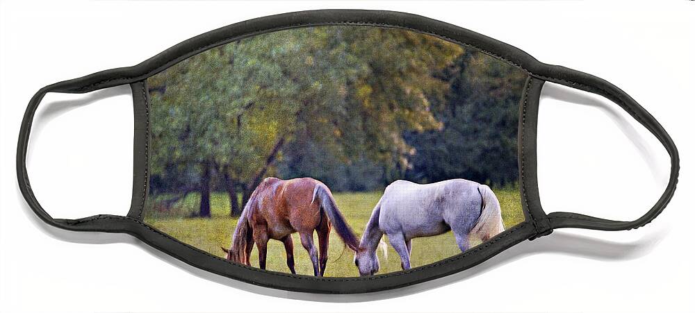 Ok Horse Ranch Face Mask featuring the photograph Ok Horse Ranch_2b by Walter Herrit