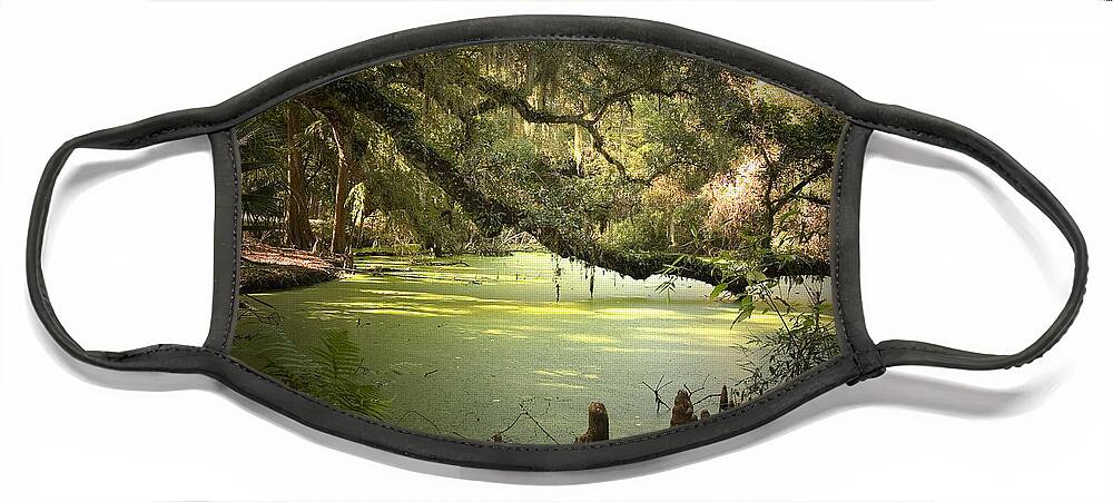 Swamp Face Mask featuring the photograph On Swamp's Edge by Scott Pellegrin