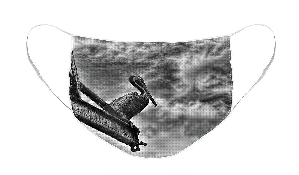 Pelican Face Mask featuring the photograph On The Eve Of A Storm by Olga Hamilton