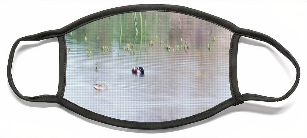 Pond Face Mask featuring the photograph On the Pond by Cheryl Day