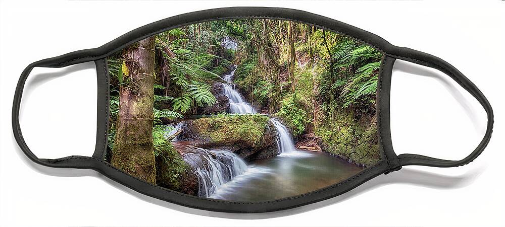 Waterfalls Face Mask featuring the photograph Onomea Waterfalls 3 by Susan Rissi Tregoning