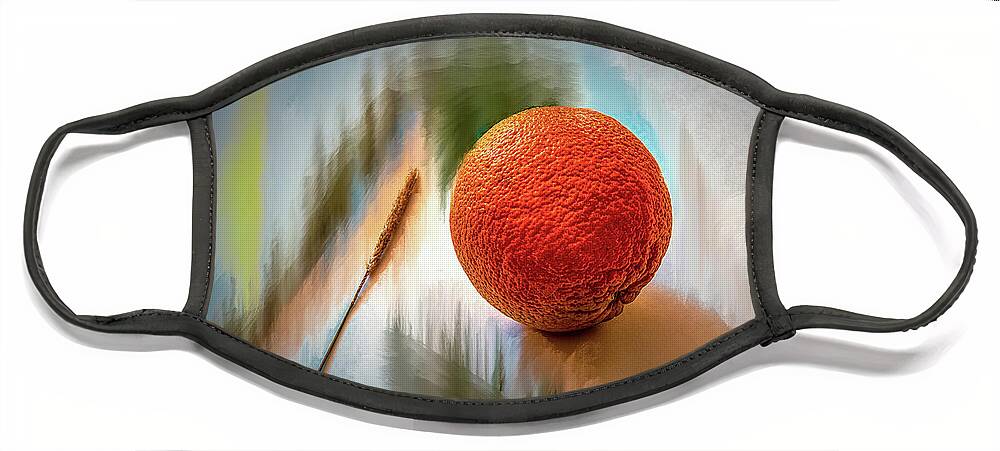 Orange Face Mask featuring the photograph Orange #g4 by Leif Sohlman