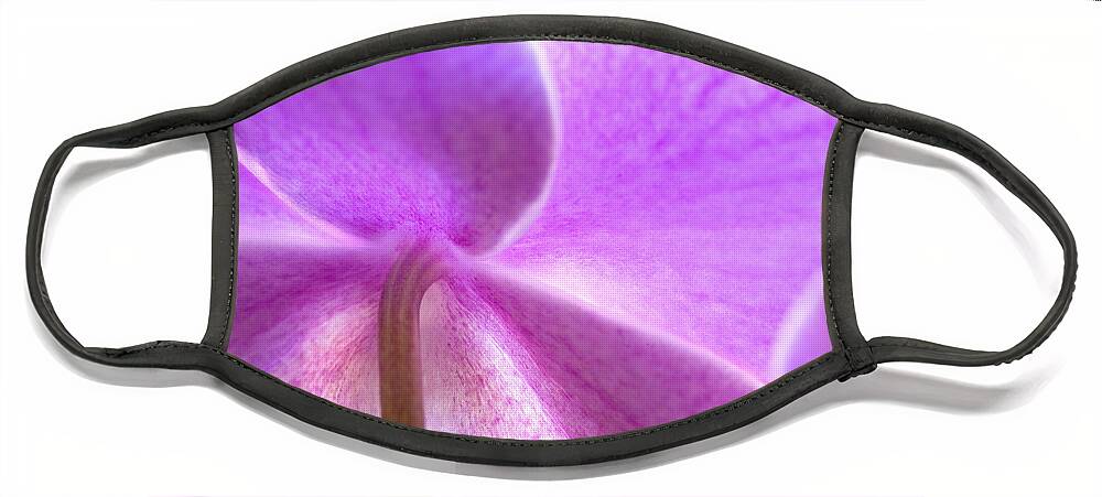 Phalaenopsis Orchid Face Mask featuring the photograph Orchid by George Robinson