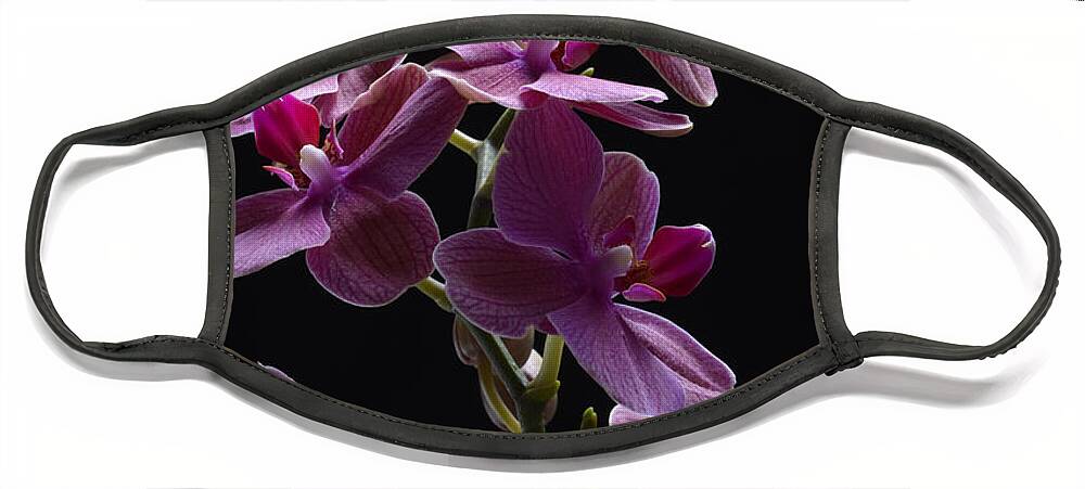 Orchid Face Mask featuring the photograph Orchid in flight by Robert WK Clark