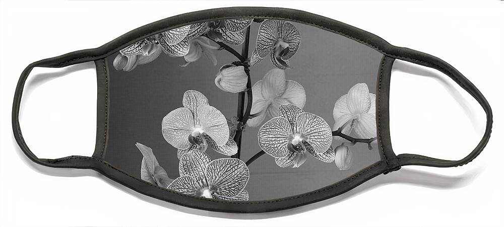 Orchid Face Mask featuring the photograph Orchids Black and White by Jeanette French