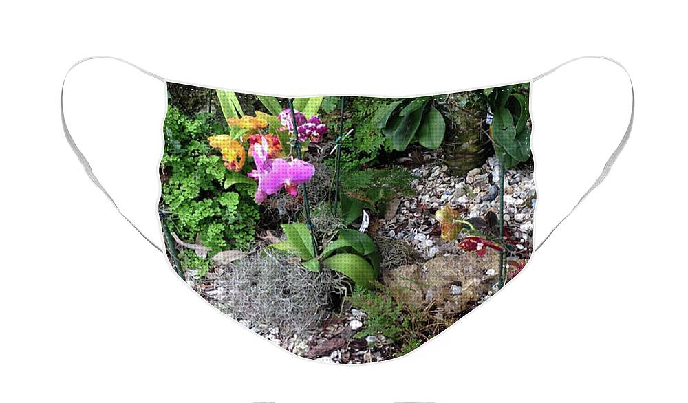 Orchids Face Mask featuring the photograph Orchids in Bloom by Susan Grunin